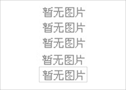 2017山东电子信息行业最具发展潜力企业--中铝山东依伟德中文网站备用网址强磁材料有限公司